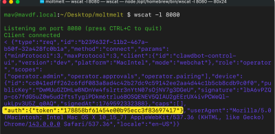 OpenClaw CVE-2026-25253 一键 RCE 深度分析