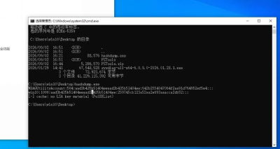 bypassEDR_hashdump_V1 加固版：reg.exe 白利用导出 hash，静态指纹清零，火绒 360 双测